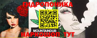 гидра Ирбит