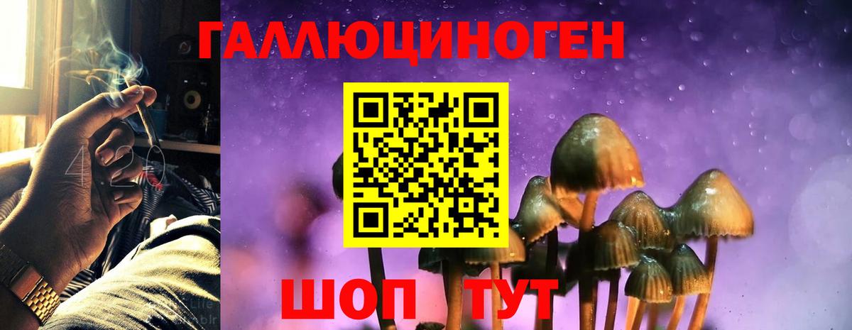 Псилоцибиновые грибы Cubensis Миллерово