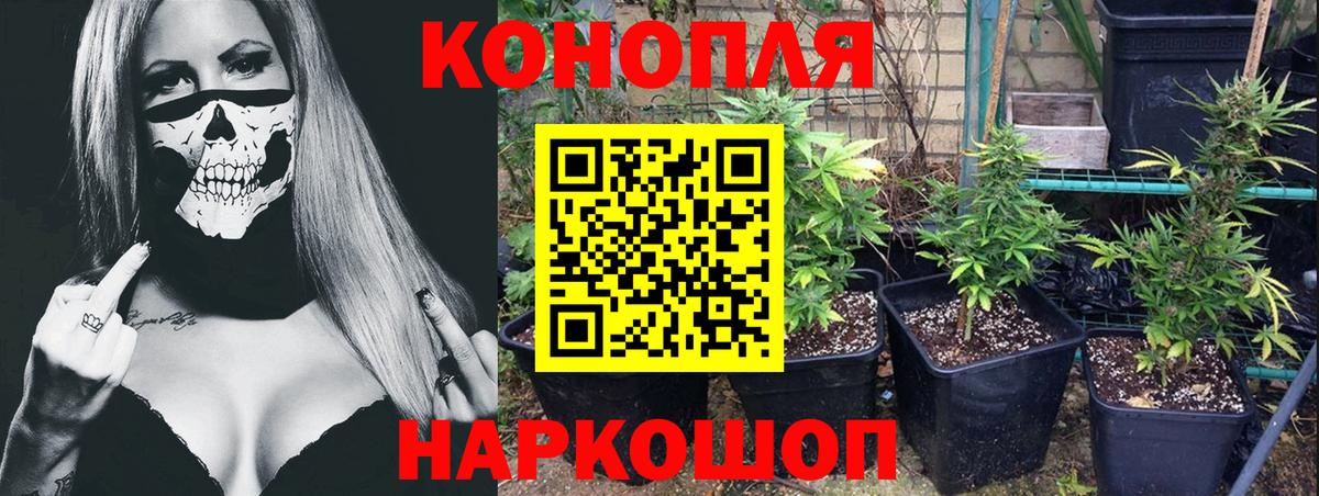 Бошки Шишки Ganja Миллерово
